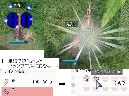 050706ro.JPG